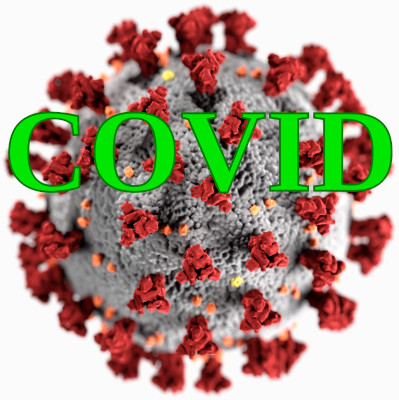 Virus du
        Covid
